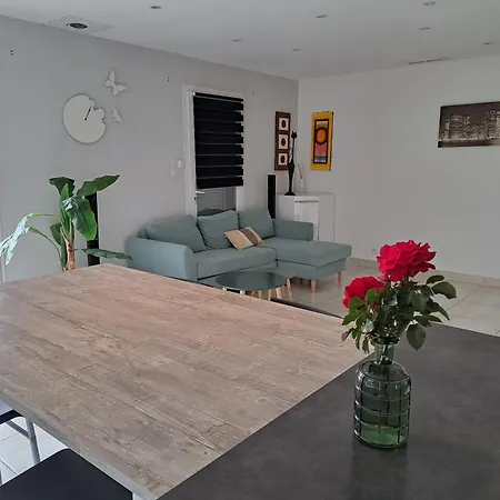 Jolie Maison Moderne Avec Jardin